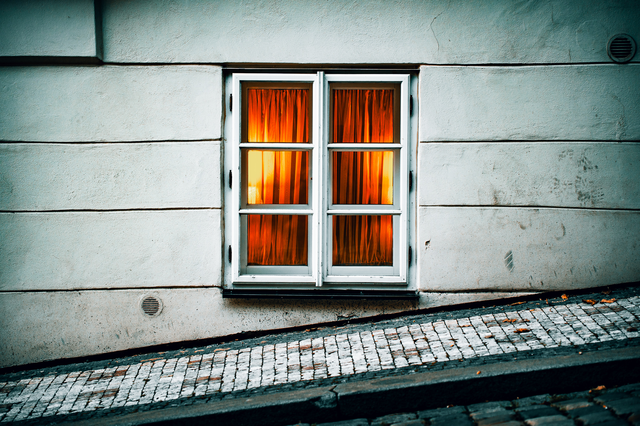 摄影作品丨作者本人-3