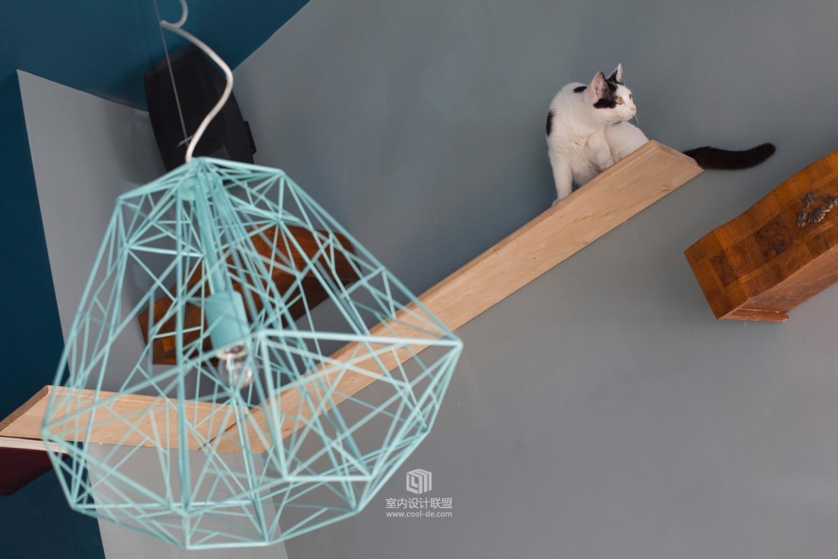 ROMEOW CAT BISTROT猫咪酒吧-4