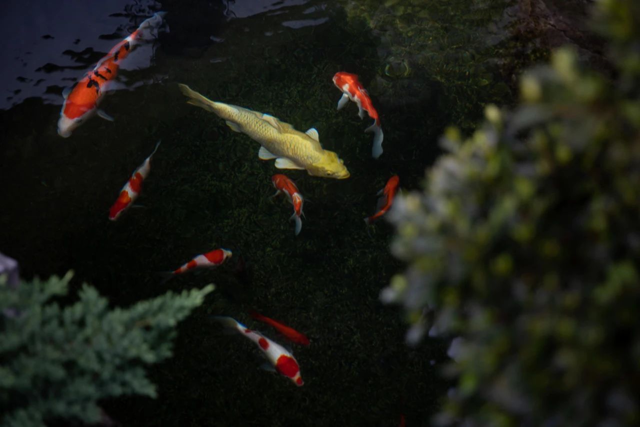 云栖雅苑丨中国浙江丨无域空间设计-34