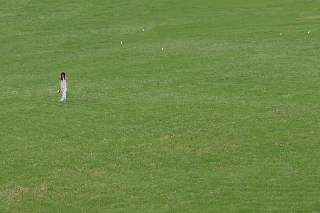 四方音乐岛开放预约！大江北岸新地标，限时免票登岛-9