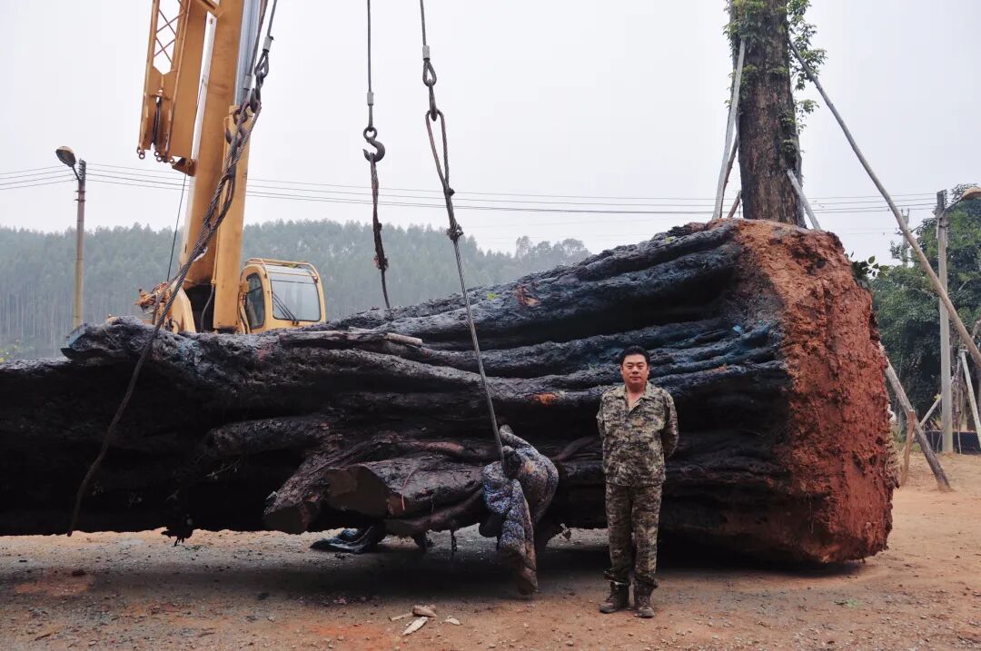 森・LOVE度假村盛大开业，集团创始人徐凯宏亲启千年古树秘境-21