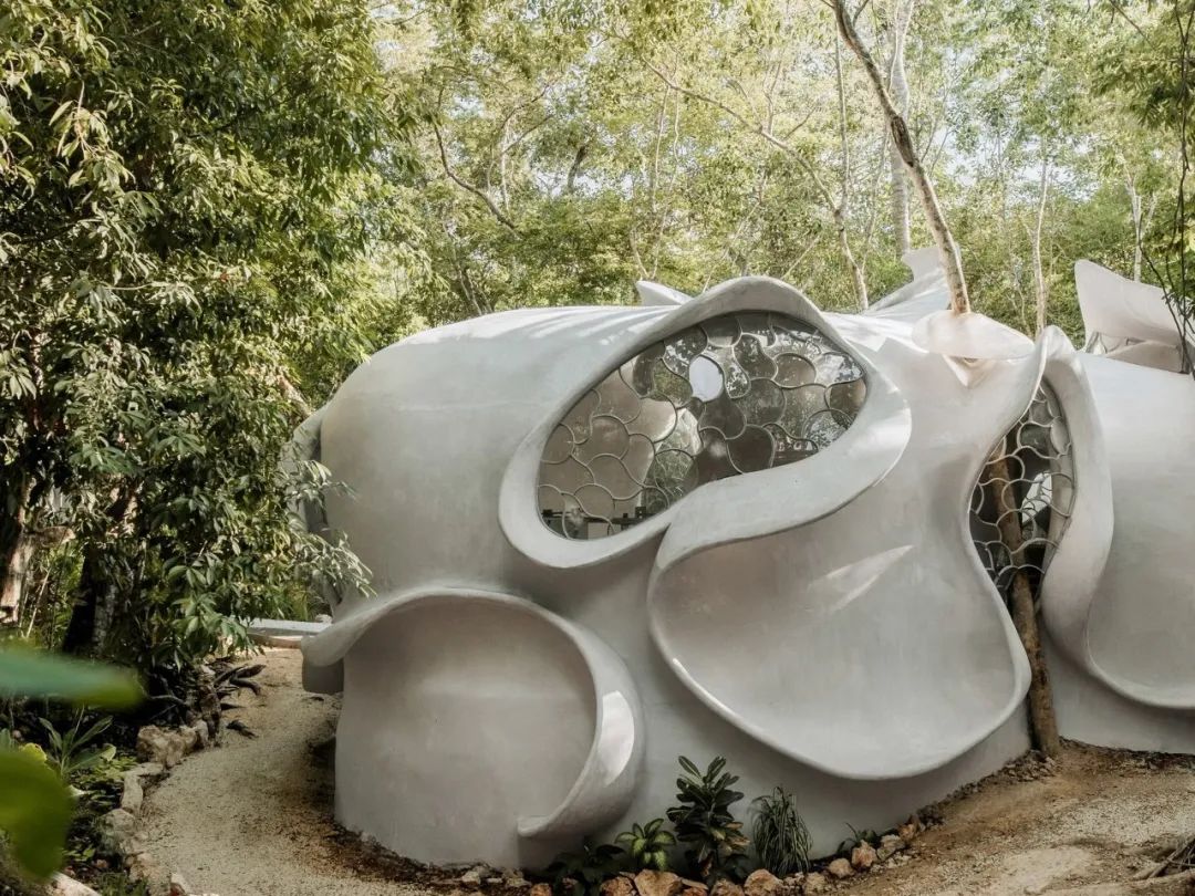 “昆虫翼”办公室 Fab Lab丨墨西哥丨Roth Architecture-10