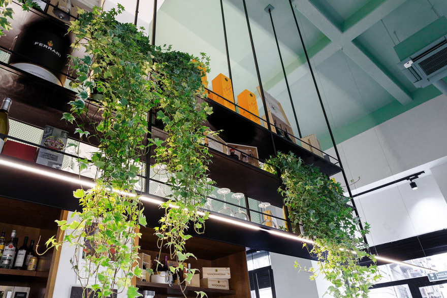 Puccio Collodoro Architetti 打造浪漫咖啡馆-15