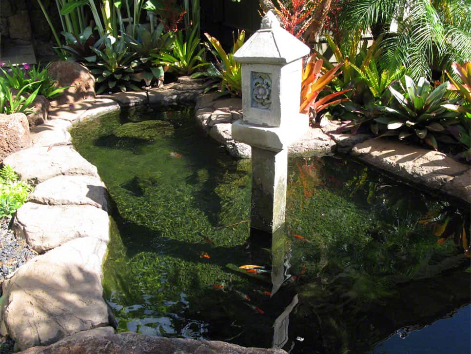 丨United StatesHawaii-9