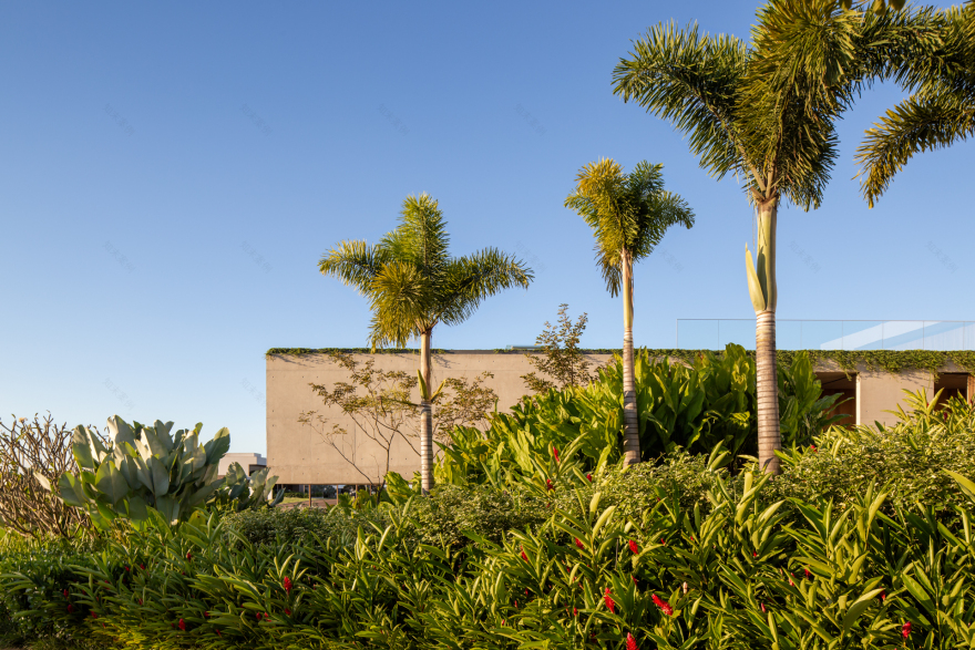 圣卡洛斯住宅丨巴西丨Gui Mattos-42