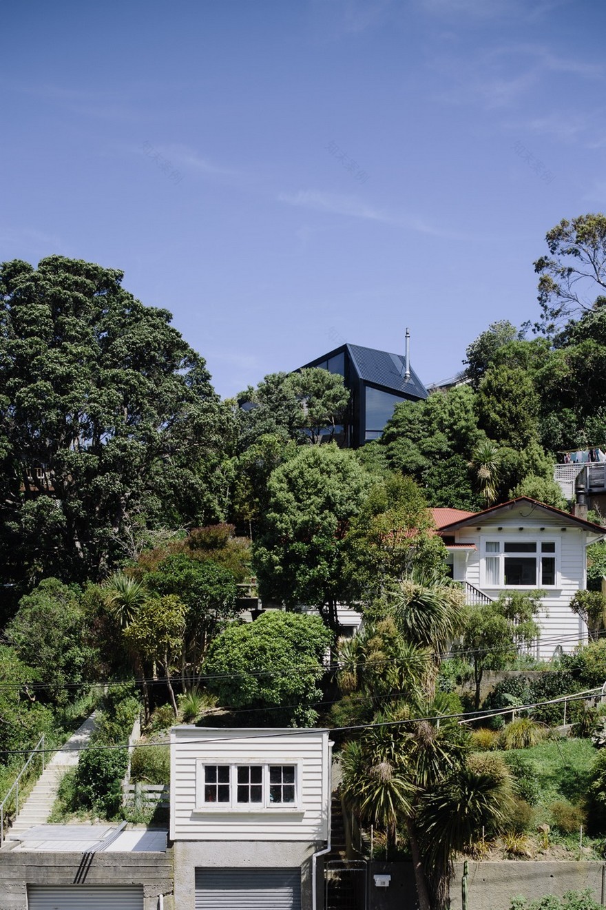Stealth Bomber Nestled into a Bushy Hillside Site in Inner-City Wellington-1