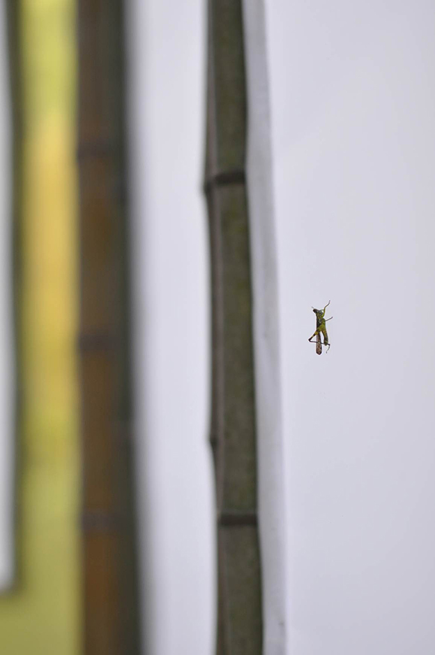 择胜居 Works Wutopia Lab_files Wutopia Lab-5