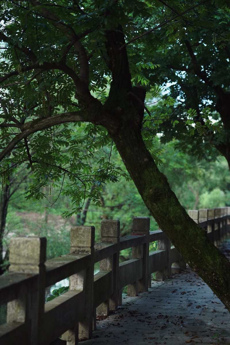 瓢亭（杭州）展陈空间丨中国杭州丨雯华×瓢亭-47