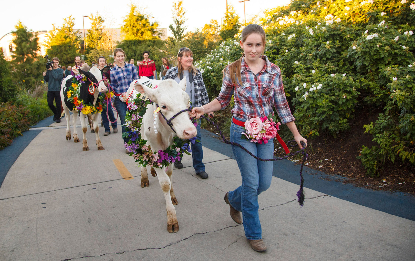 606 公园绿道丨美国芝加哥-30