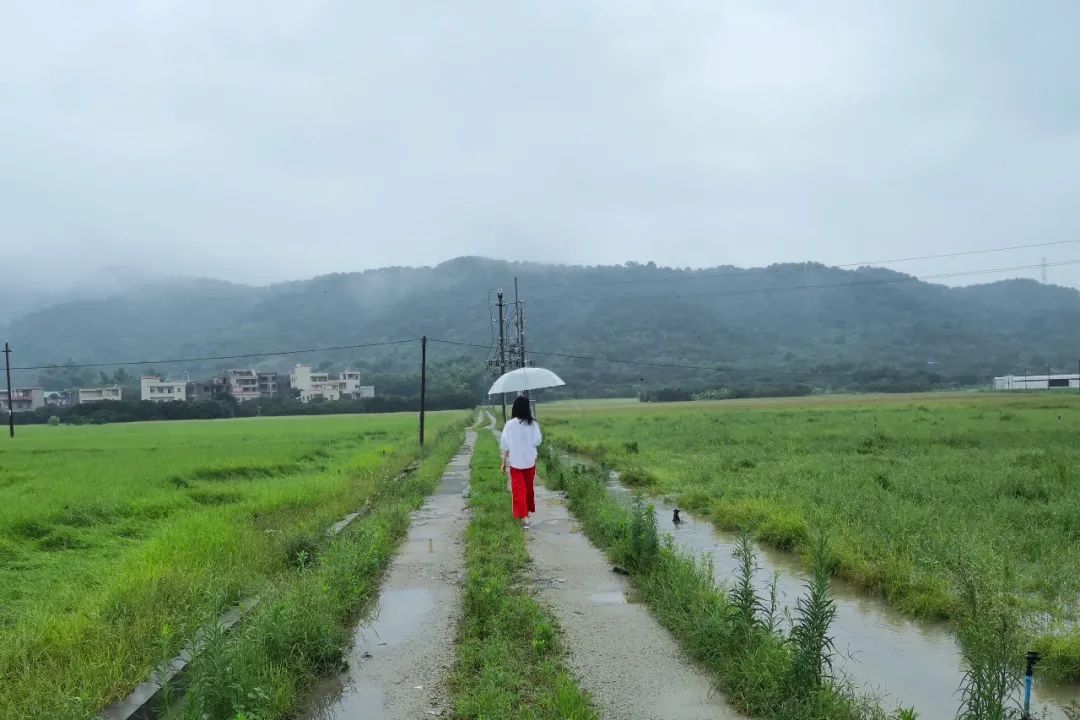 乡村花店改造记 | 400㎡老宅变花园别墅-25