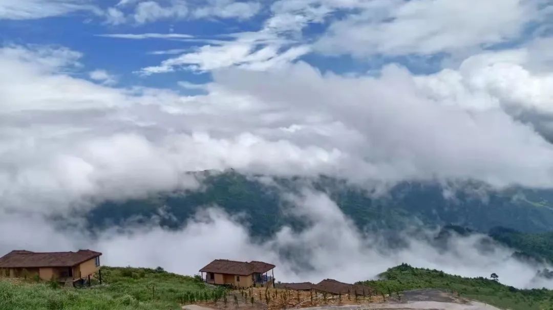 野奢秘境，探寻春日浪漫-112