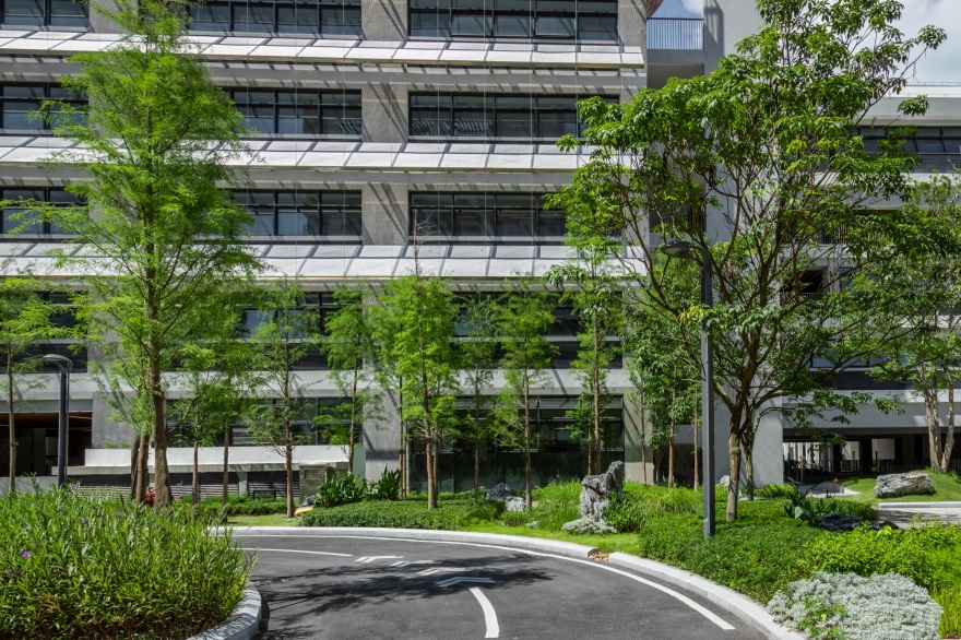 深圳市宝安中学(集团)海天学校丨中国深圳丨HILL 希尔景观-46