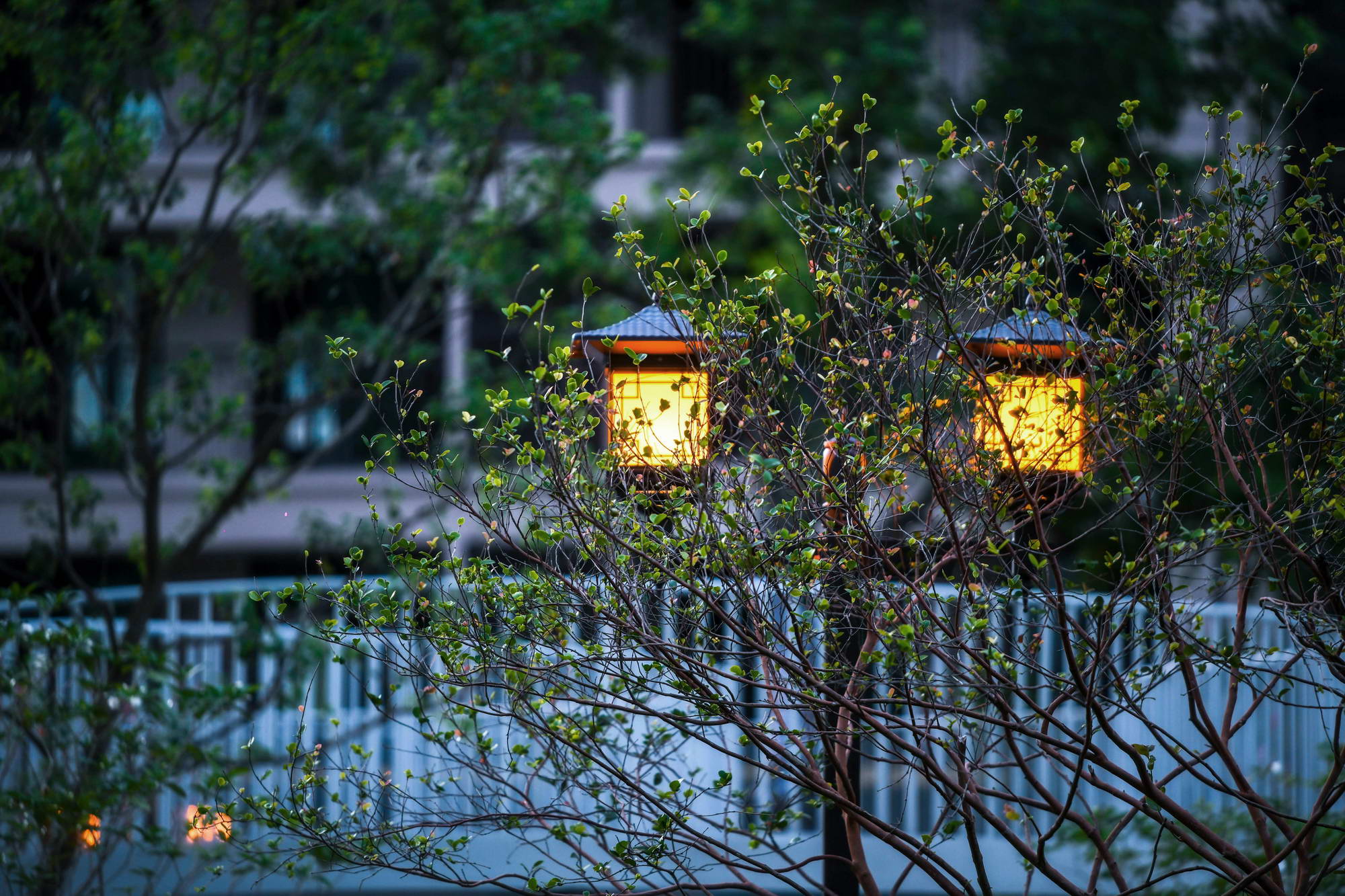 福州连江·建发双玺书香里大区 | 山水格局的诗意栖居地-51