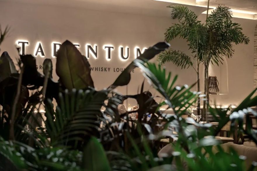 TARENTUM 萄木丨中国深圳丨RBD DESIGN BOX 瑞本设计-5