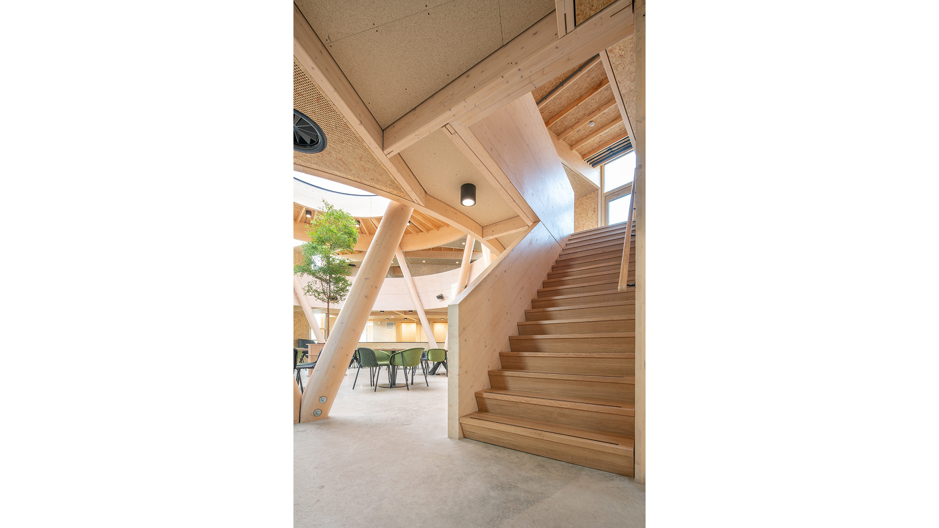 生物合成中心（注：由于Het Biosintrum可能是特定机构、场所等名称，这里Biosintrum推测是生物合成相关含义加上后缀构成的词，具体准确含义可能需结合更多背景信息确定 ） 丨Paul de Ruiter Architects-13