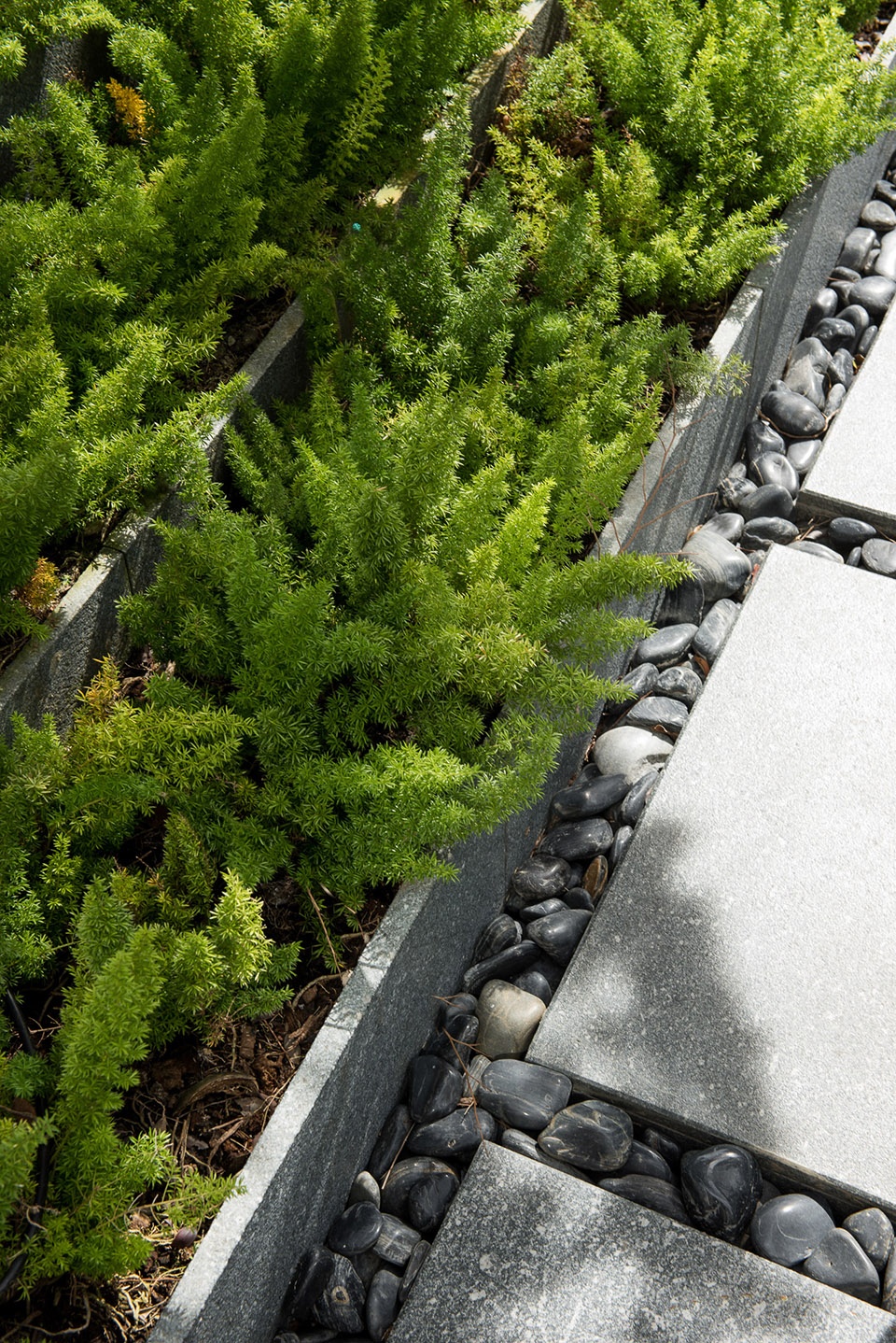 泰国 Quarter 39 住宅区景观设计丨泰国曼谷丨Yossapon Boonsom 等-37