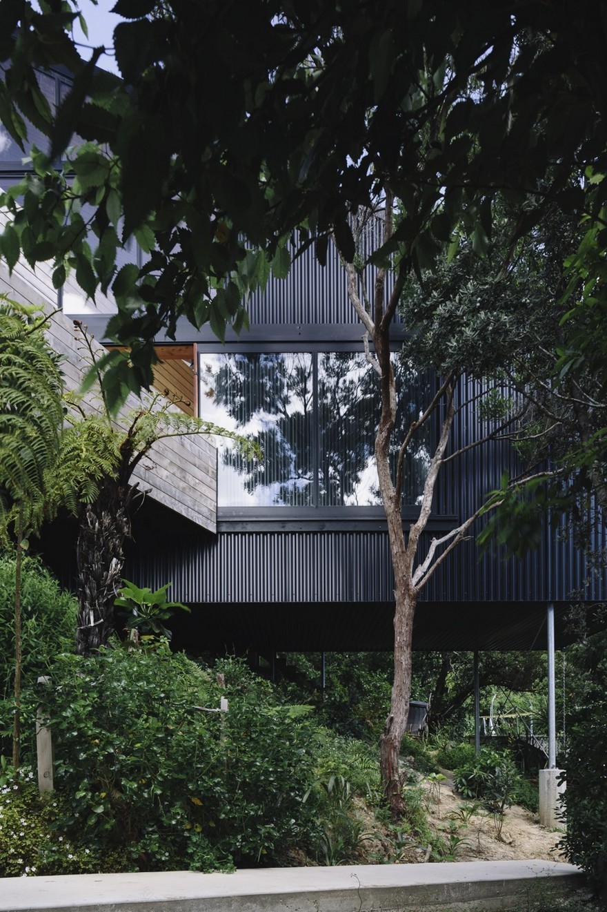 Stealth Bomber Nestled into a Bushy Hillside Site in Inner-City Wellington-9