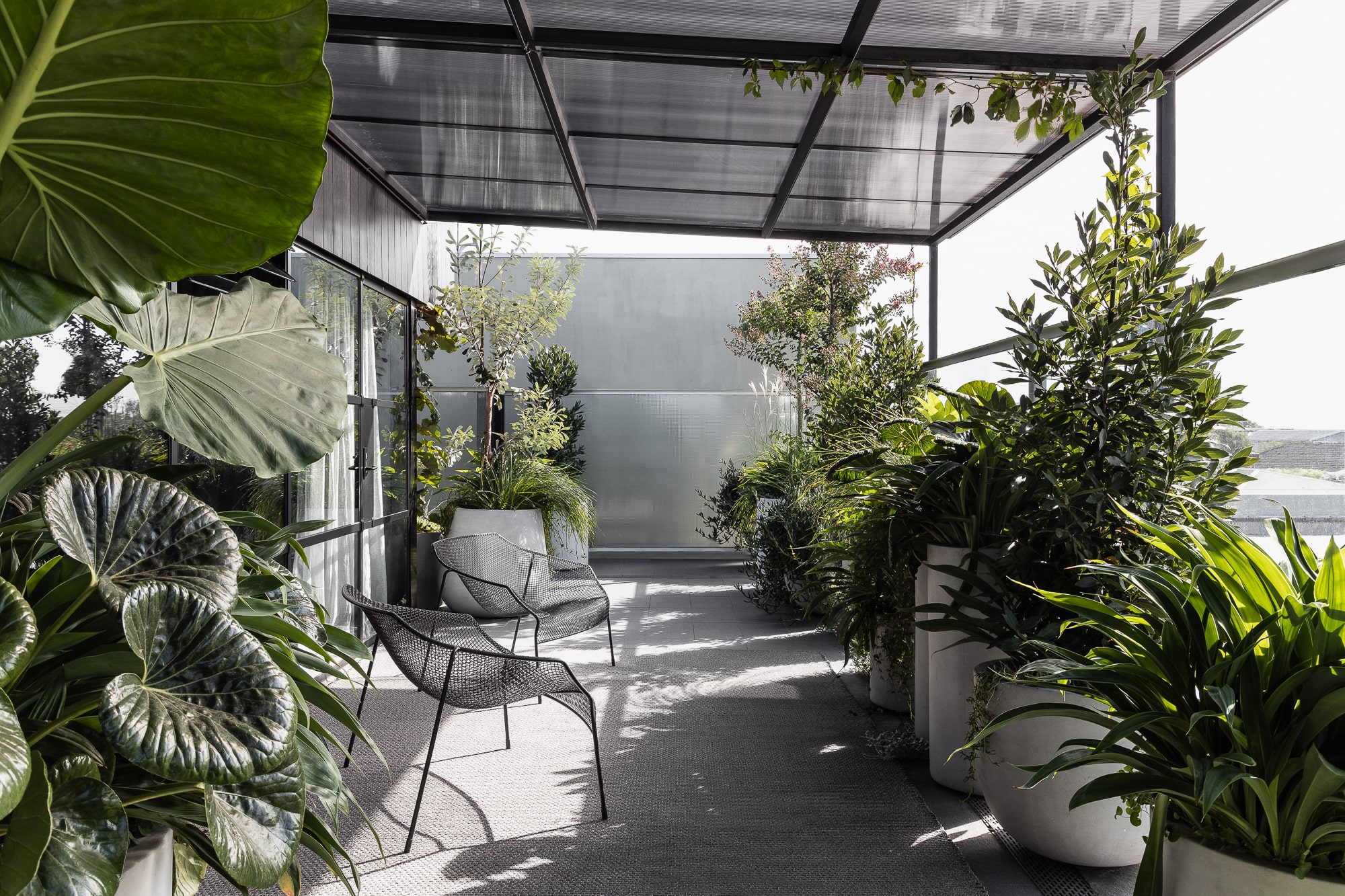 Mancini Made 办公室丨澳大利亚-0