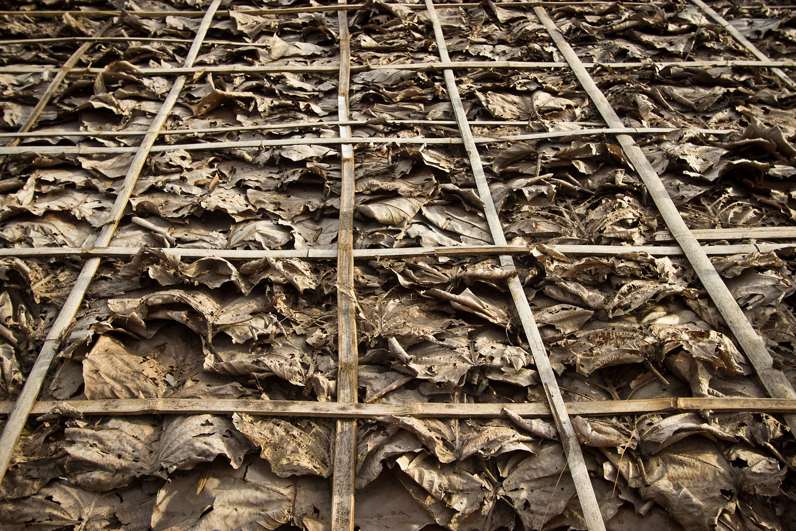 Mae Tao Clinic临时宿舍丨泰国-25