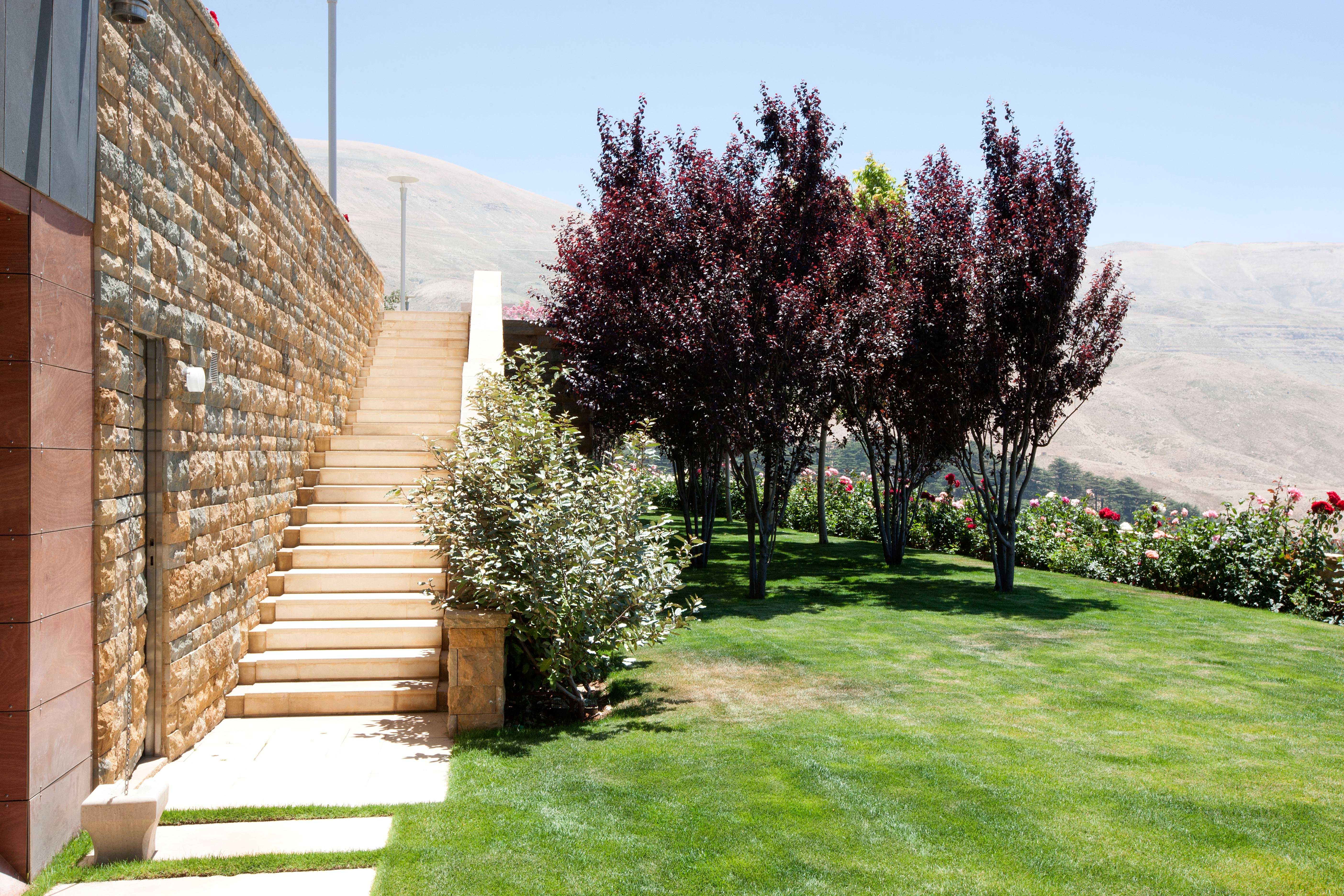 周末度假胜地 | 雪松森林中的私人住宅-11