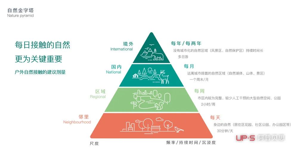 老旧小区的绿色新生 | 阿普贝思自然的感知活动-47