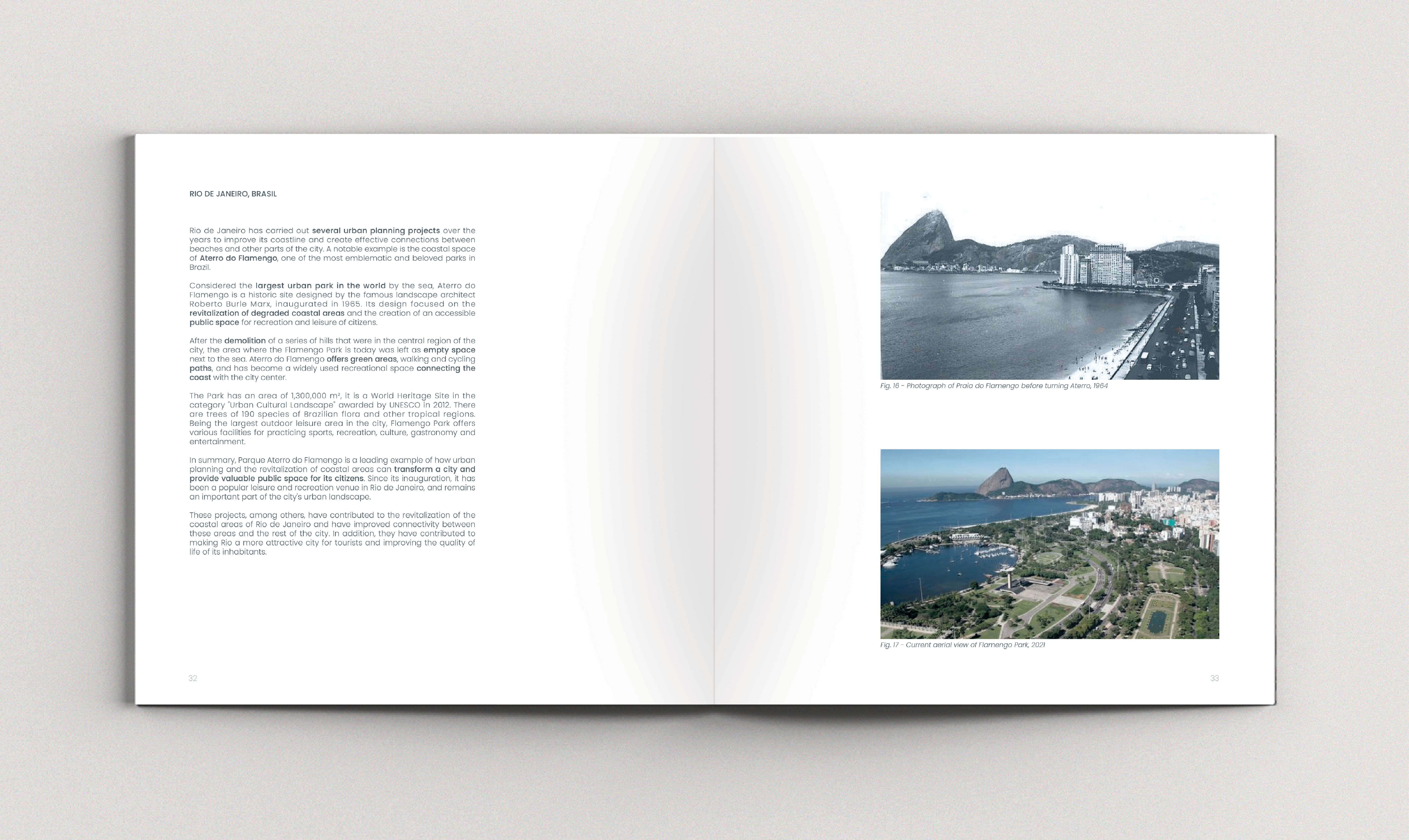 Reconnecting Buenos Aires waterfront-12