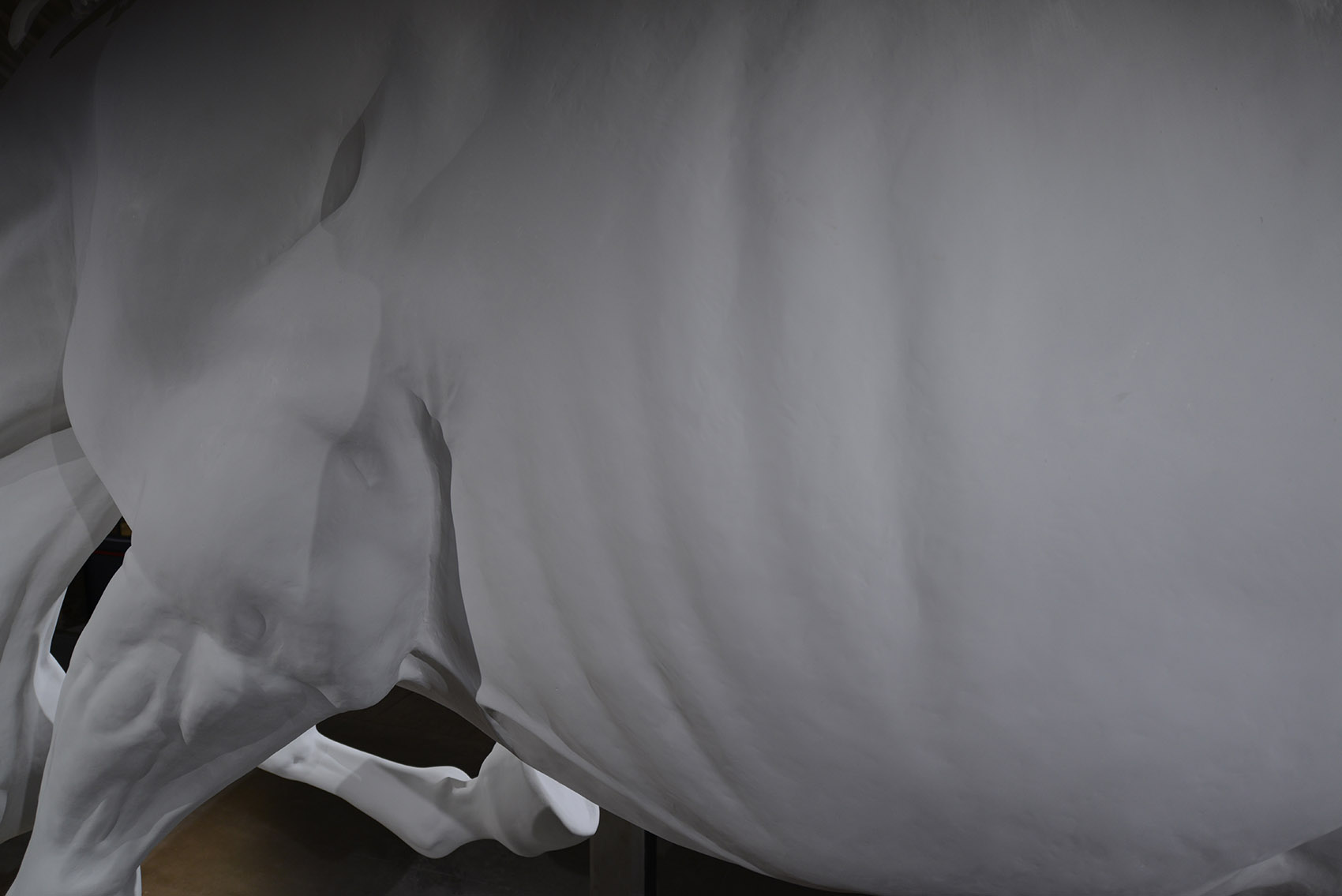 问题之马 / Claudia Fontes-28