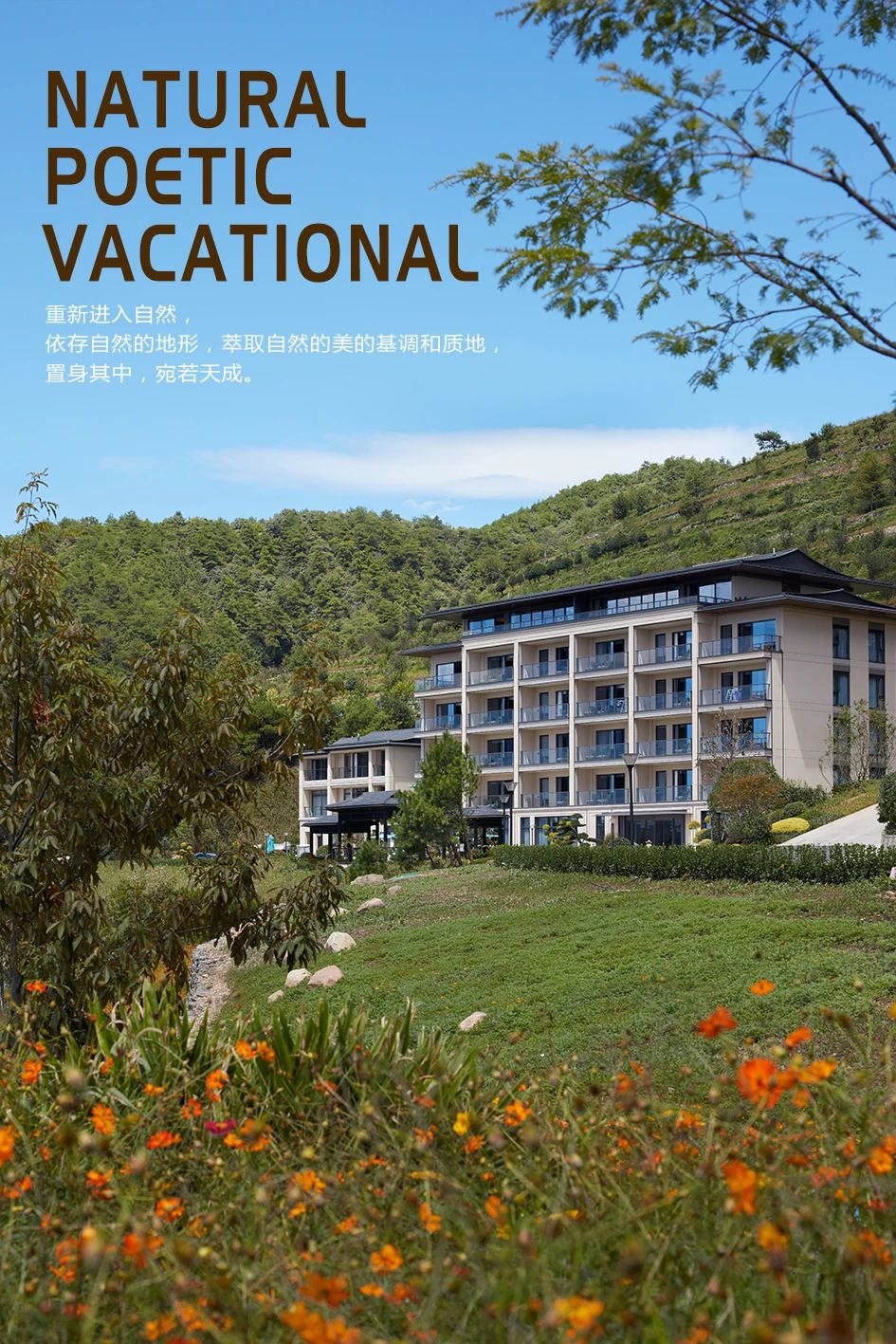 杭州千岛湖滨江云顶桃源度假酒店丨中国杭州丨ICDL-9