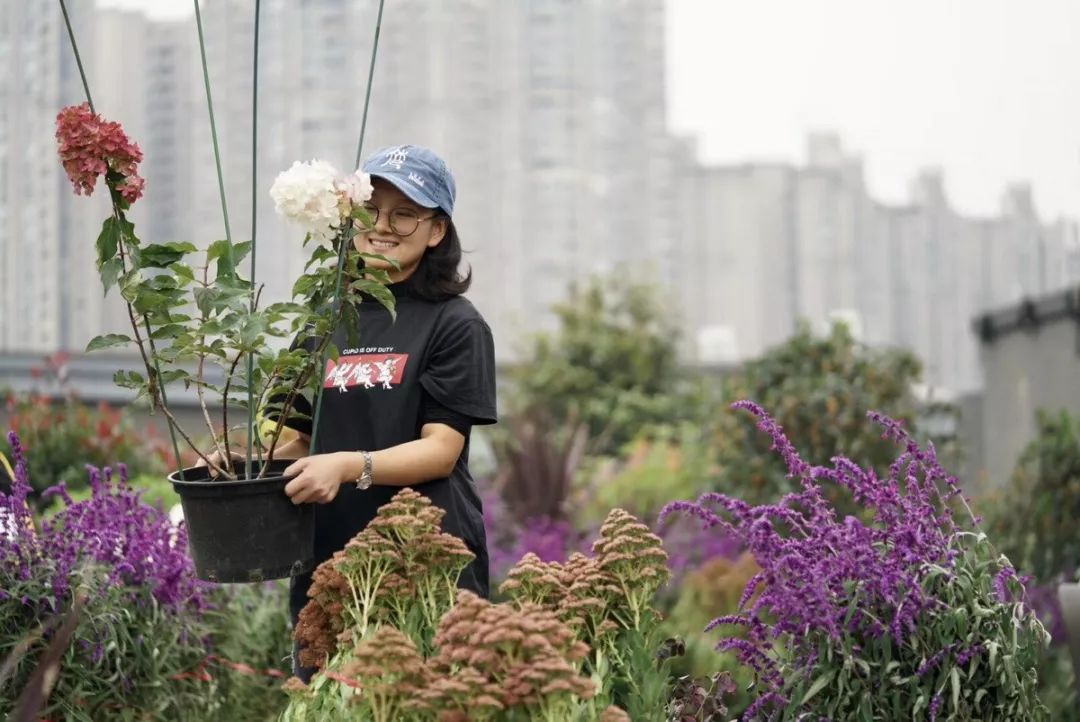 空中花园的粉紫色浪漫 | 乐梵造园的秋韵花境改造-94