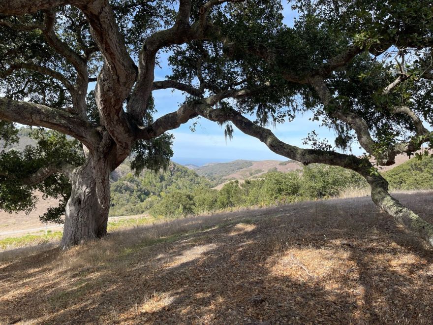 雾霭之缘;雾的边缘(注:这里Fog's Edge直译为雾的边缘,但如果在特定文学、艺术等情境中,Edge也可意译为缘,Fog's Edge可理解为富有诗意的雾霭之缘 ,你可根据实际语境选用 ) 丨美国-18