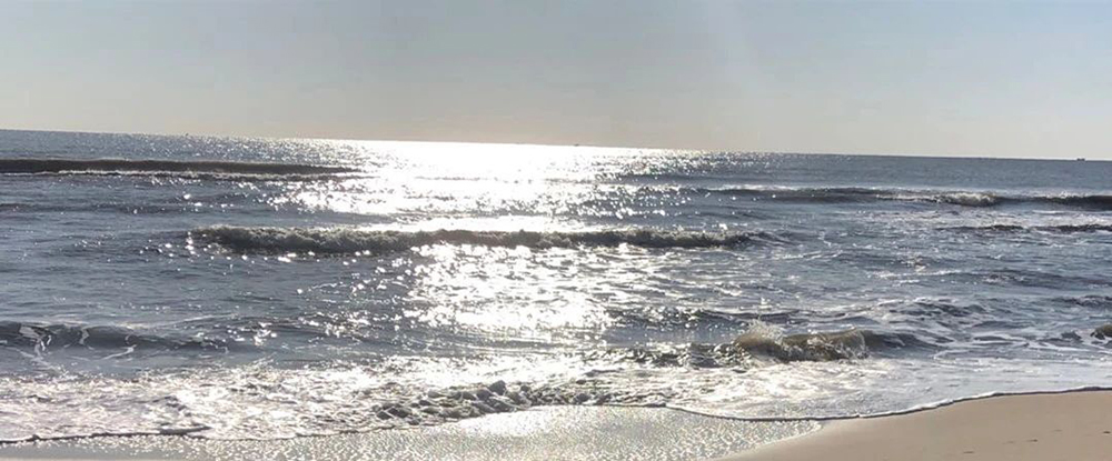 熹茗朱子文化空间丨中国厦门丨BloomDesign绽放设计-8