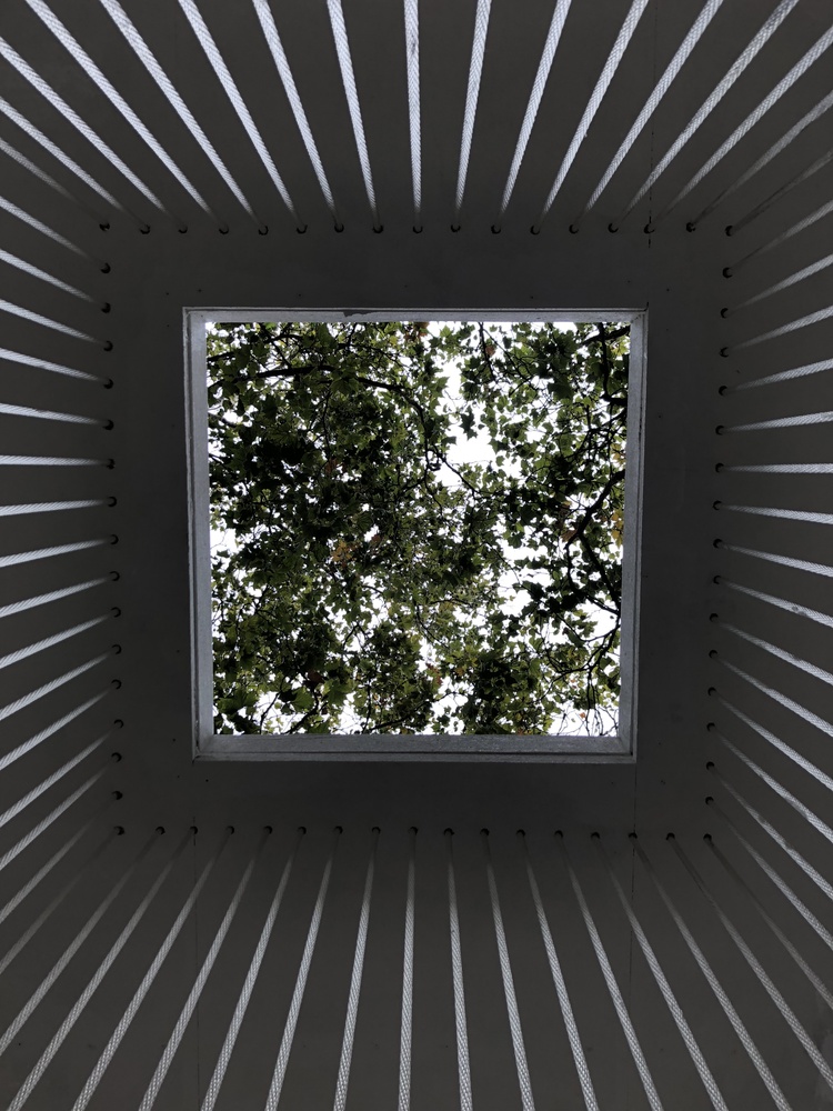 Gensler 西雅图“盲人信托”挑战触觉互动-32