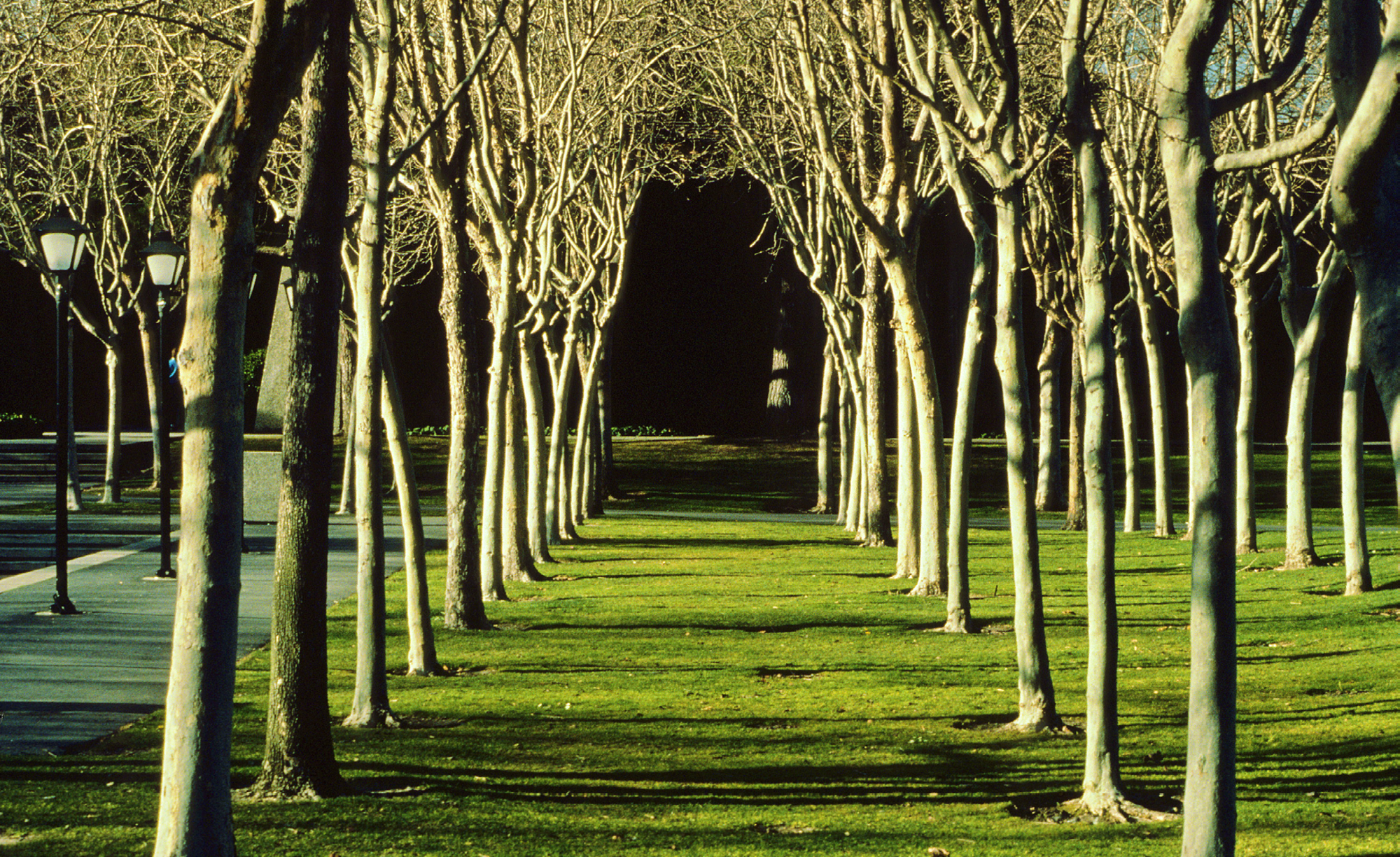 Foothill College校园景观设计丨美国加利福尼亚-21