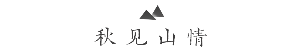山居艺术 | 云间桃树,泉鸣林深-52