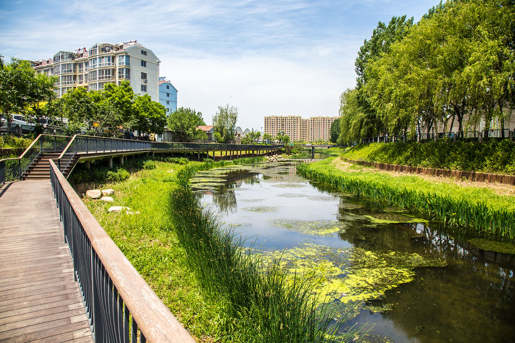 青岛“五水绕城”生态环境提升丨中国青岛丨青岛市市政工程设计研究院有限责任公司-15