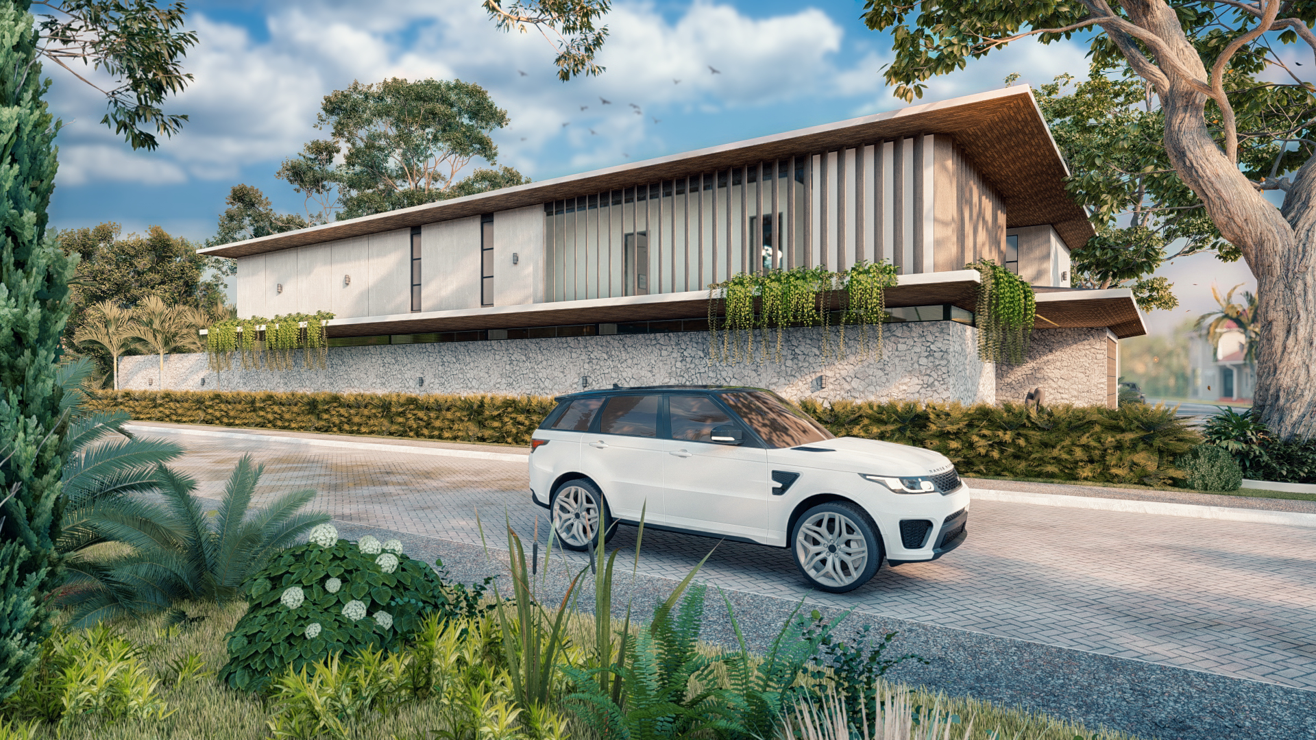 美丽棕榈 6465丨哥斯达黎加-9