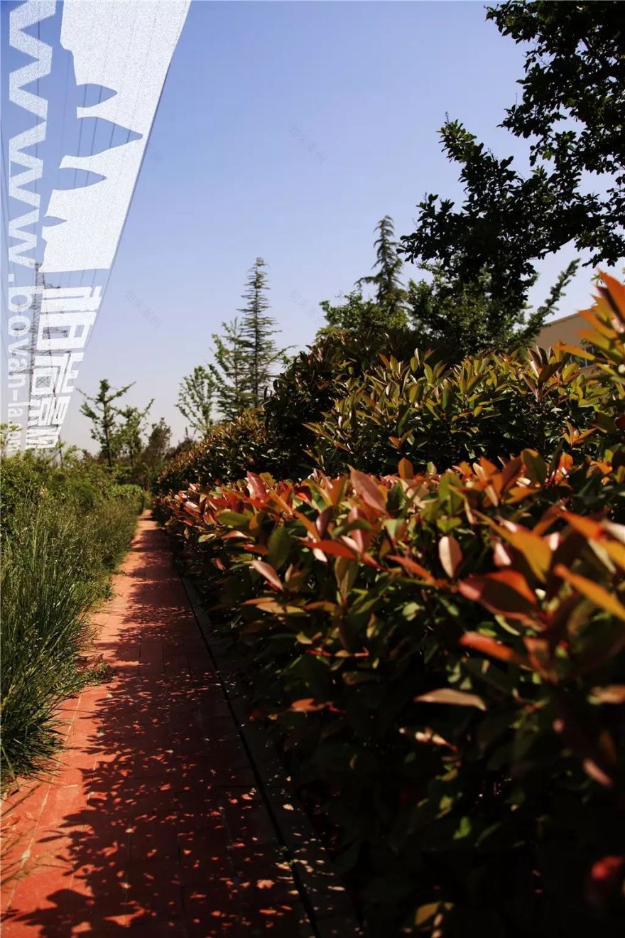 【柏岩·锦绣】经开区道路景观-15