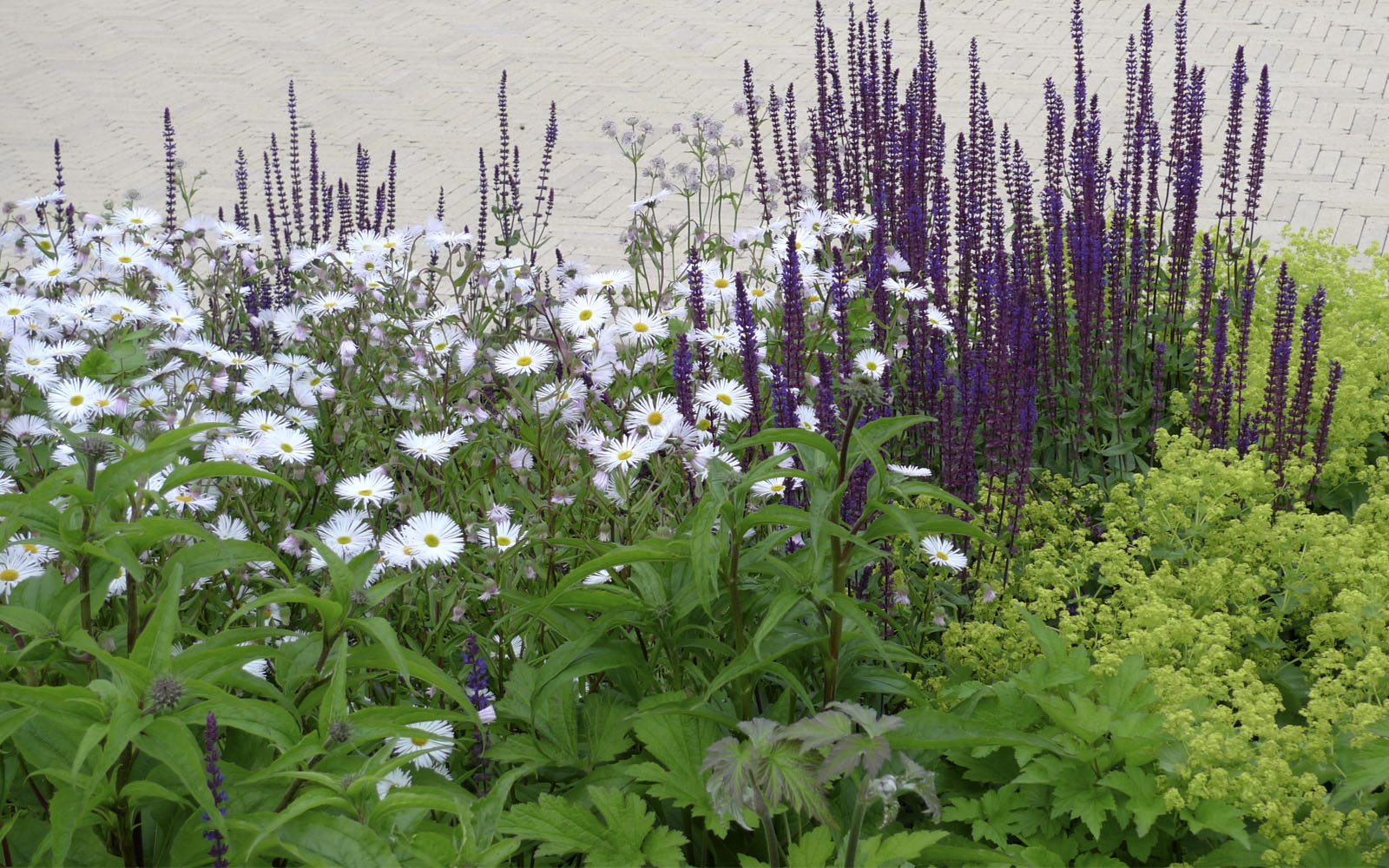 德国圣博尼费斯医院景观设计-5