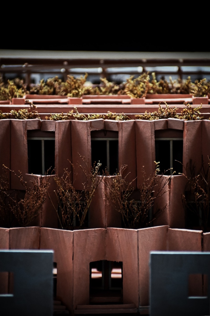 Laiva Plaza酒店丨墨西哥丨RA!-63