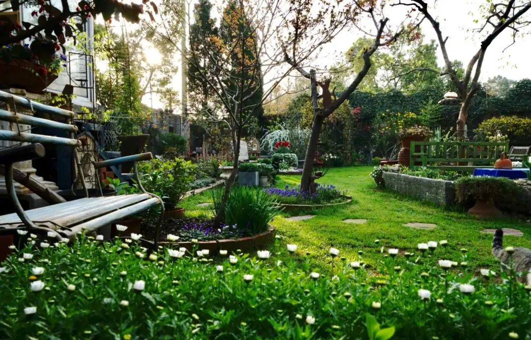 莫奈花园的室内设计灵感 | 自然与艺术的和谐交融-64