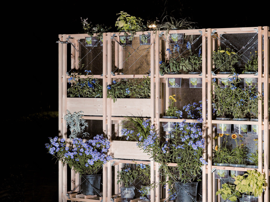 巡圃丨中国北京丨北林风景建筑研究中心—段威工作室-83