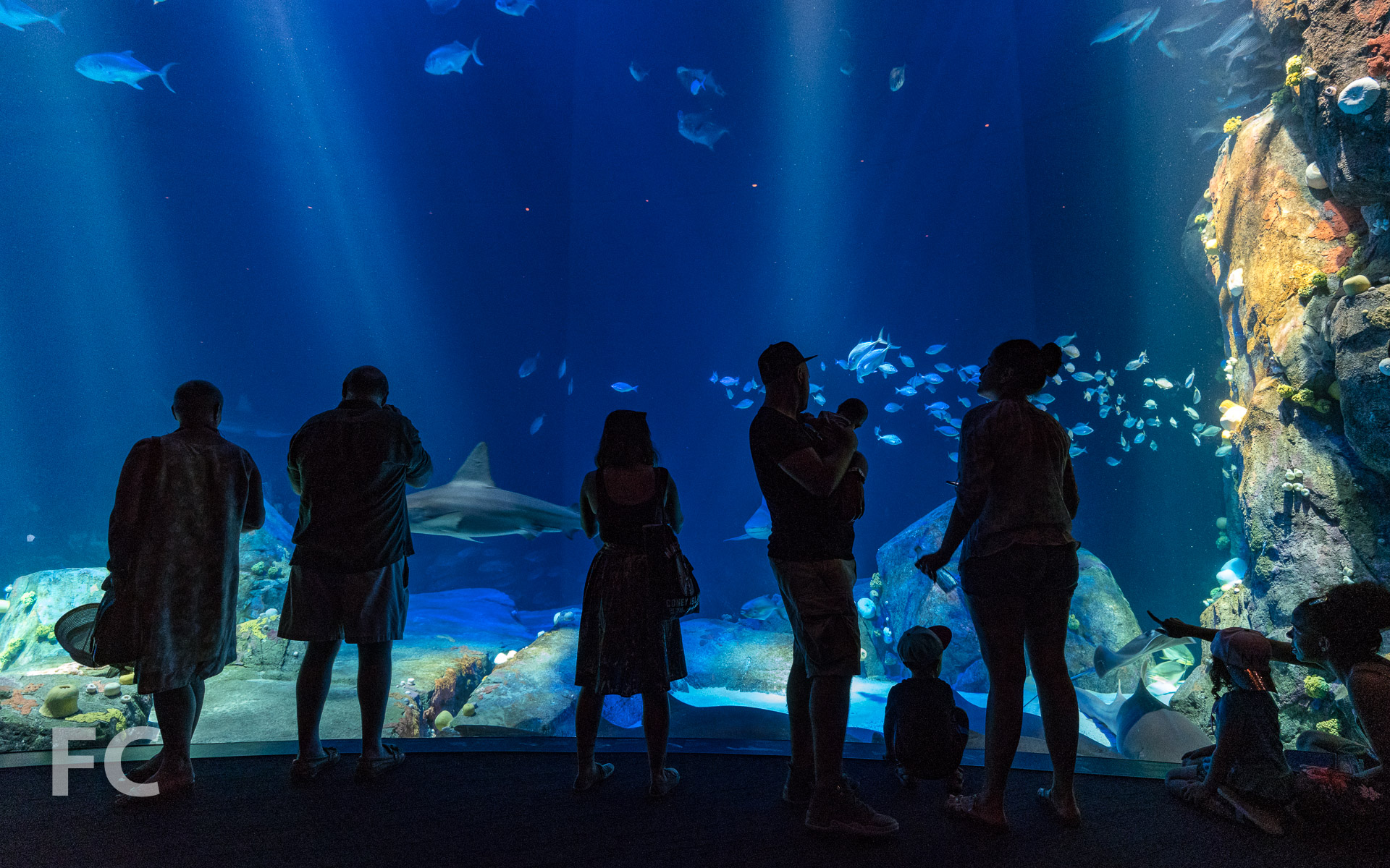 Tour: New York Aquarium — FIELD CONDITION-7
