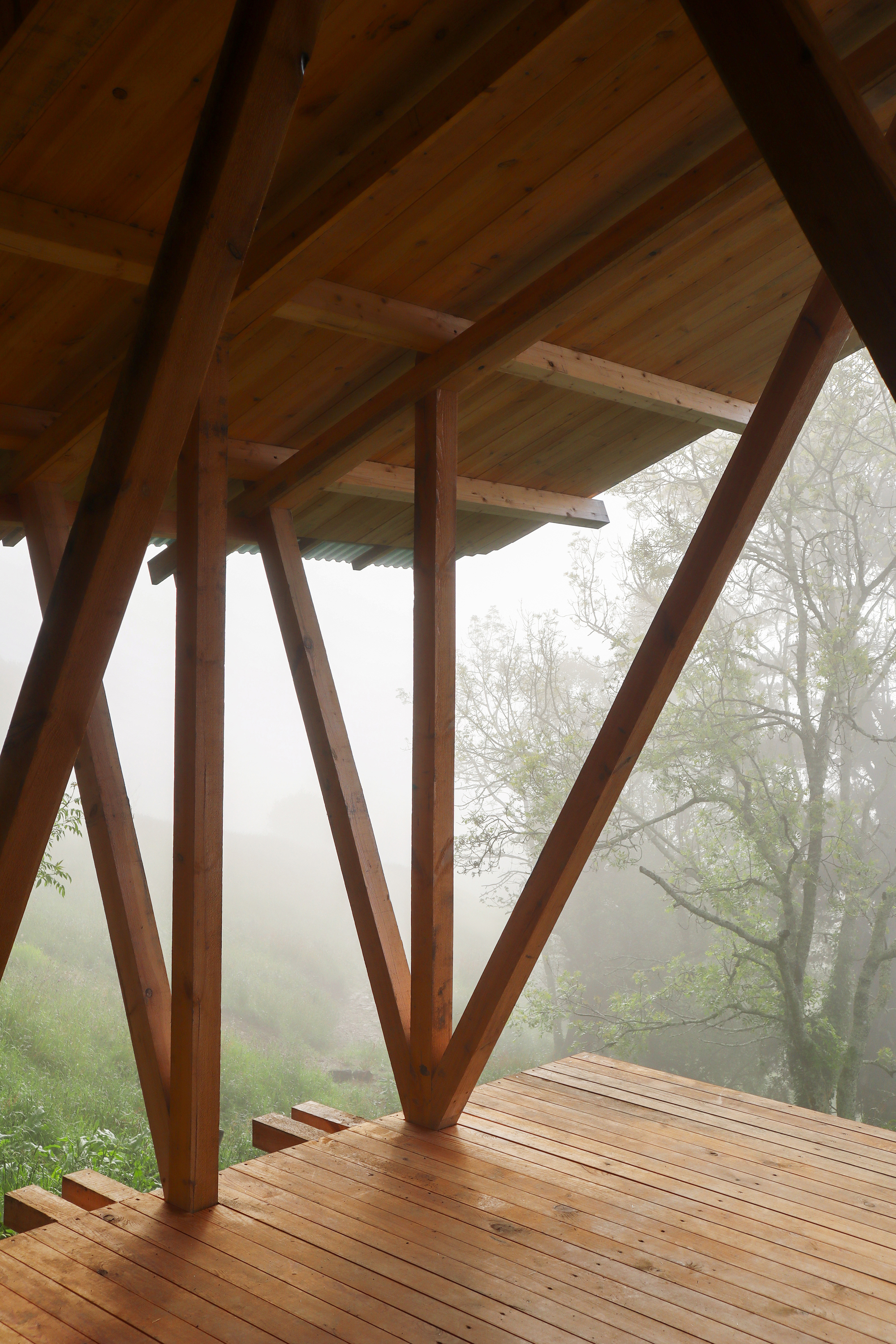 Taller Agropoetico - Foresta Collective / Atelier Poem-35