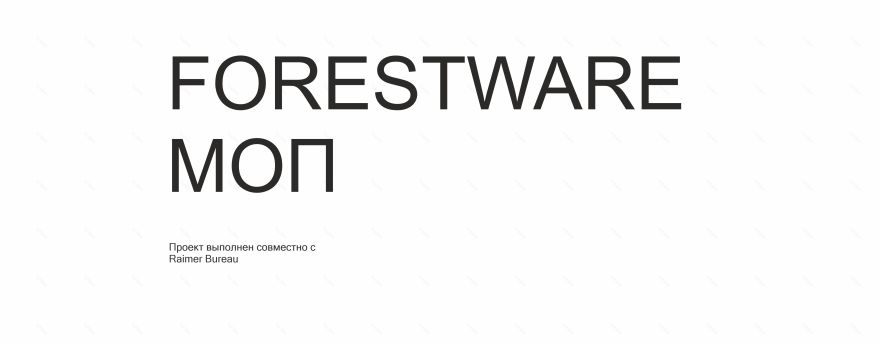 福雷斯托韦尔(FORESTWARE音译),清洁拖把(МОП常见释义) -0