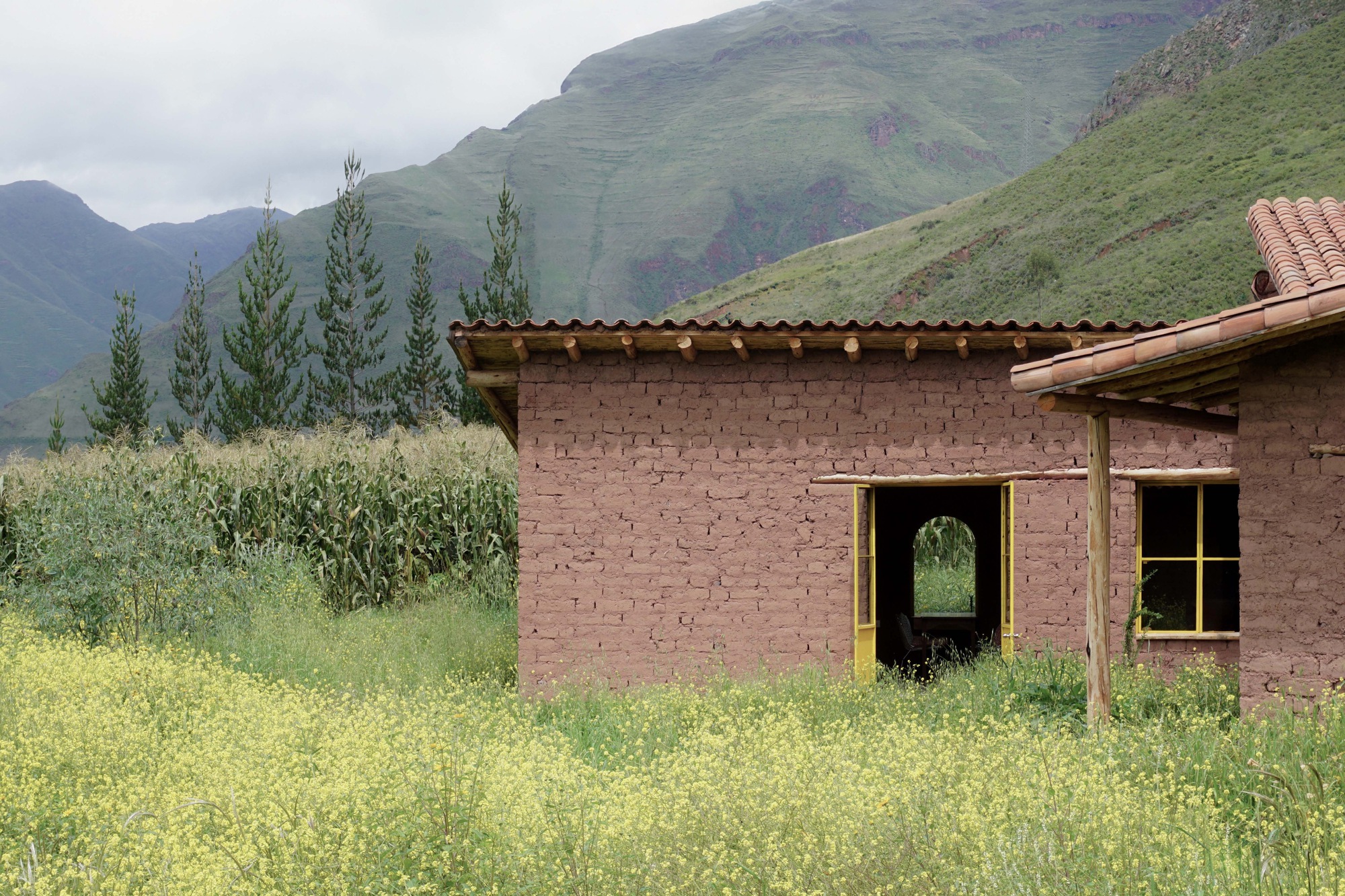 丨秘鲁丨Taller MACAA-39