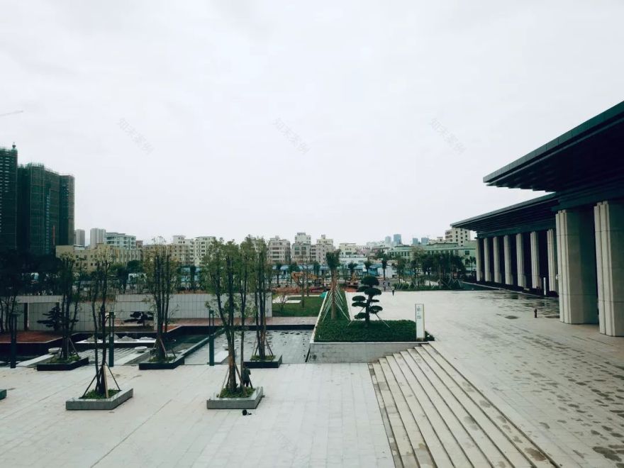 速度与激情的碰撞 | 从“速度坪山”到“绿色坪山”-24