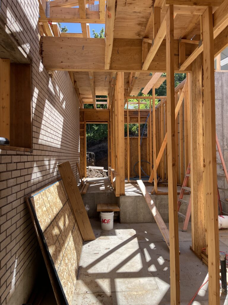 Stagg Mountain Modern狗洗站设计-6