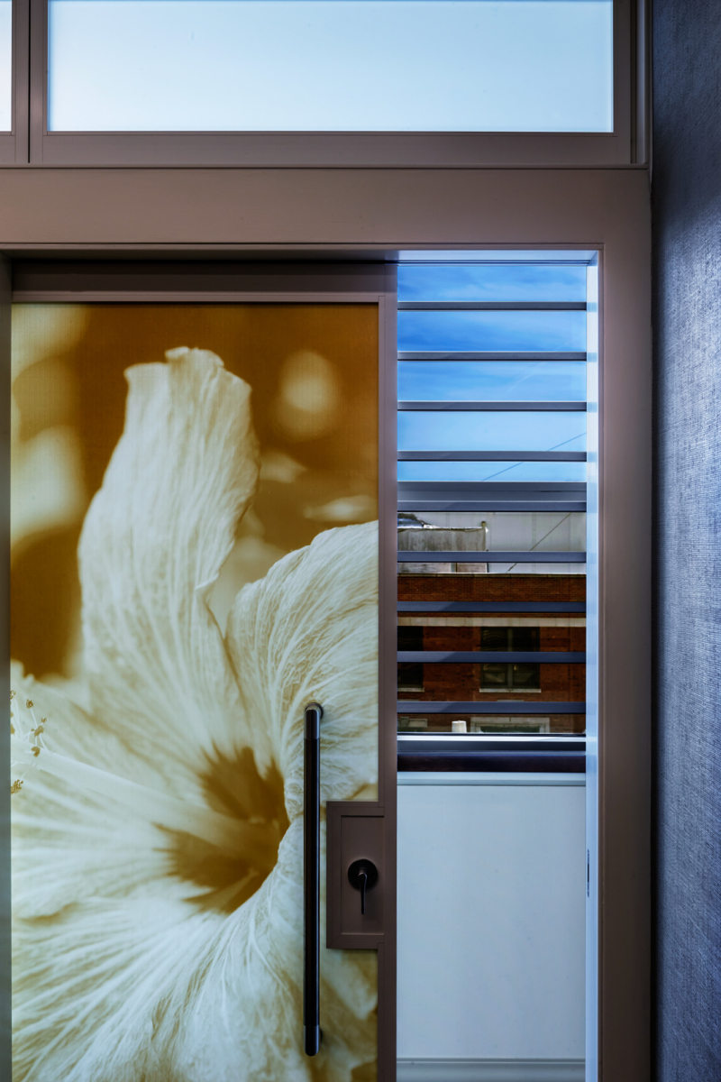 Mayora Rosenberg 女性健康中心丨美国芝加哥丨Anderson Mikos Architects-16