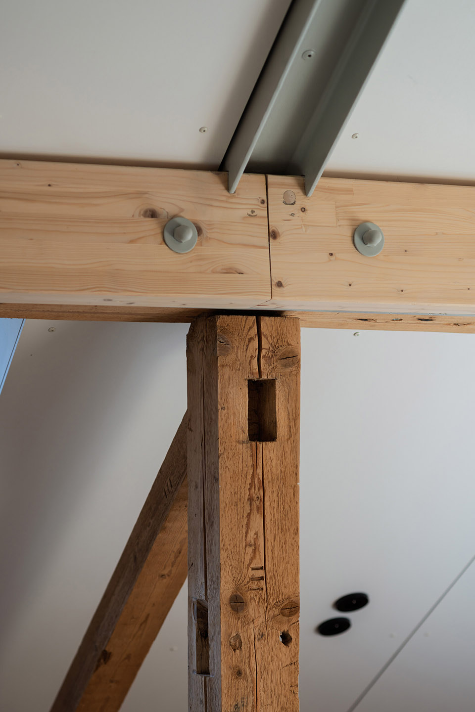 Borová Lada木屋丨捷克丨Studio Plyš-103