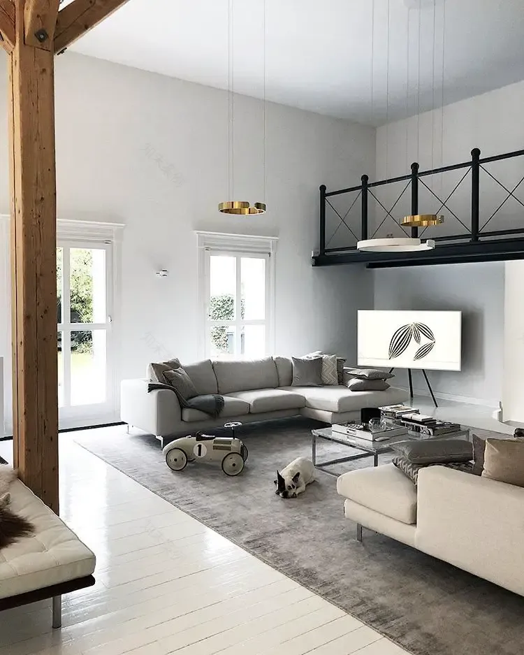 德国北欧风 Loft,空间与光的精致之作-5